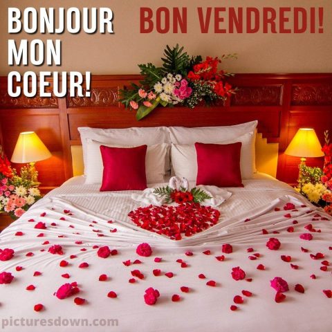 Bonjour vendredi mon amour image pétales de rose gratuite