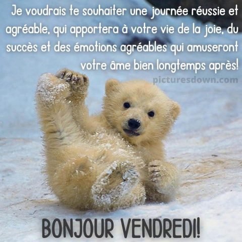 Bonjour vendredi image ours gratuite