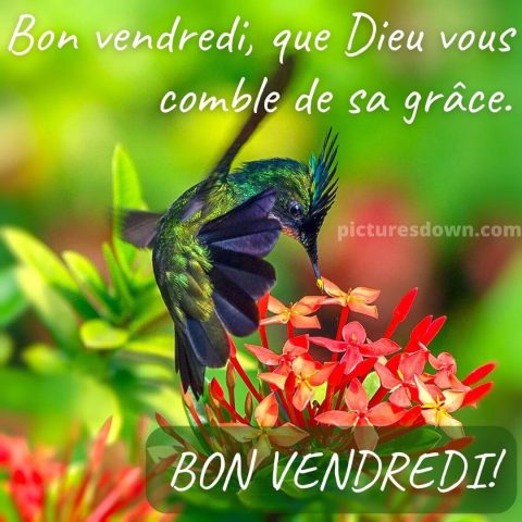 Belle image bon vendredi colibri gratuite