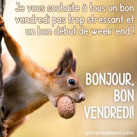Bon vendredi a tous image écureuil gratuite
