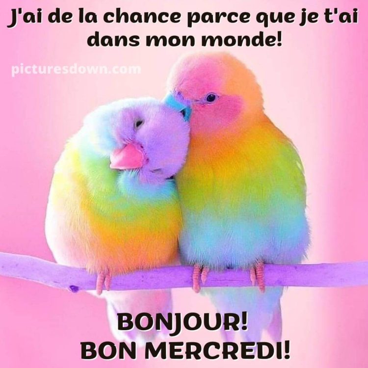 Bon mercredi bisous image perroquets gratuite