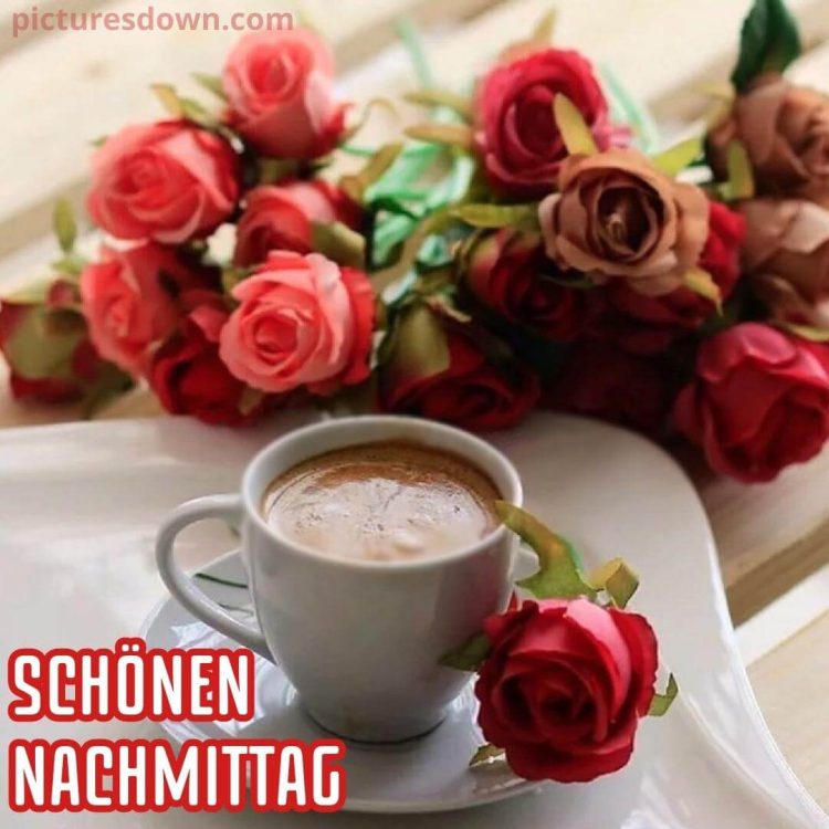 Kaffee schönen nachmittag bild rote Rosen kostenlos