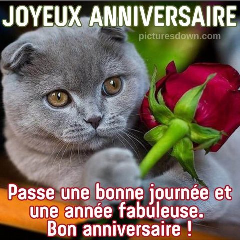 Image joyeux anniversaire chat gratuite