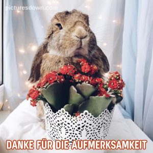 Danke F r Eure Aufmerksamkeit Bilder Kostenlos danke-f-r-eure-aufmerksamkeit-bilder-kostenlos