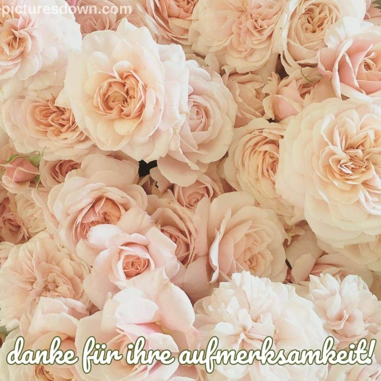 danke-f-r-eure-aufmerksamkeit-bilder-kostenlos