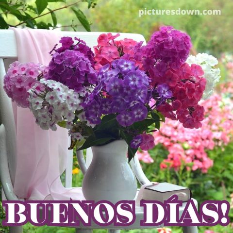 Buenos dias foto con flores clavel descargar gratis