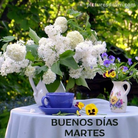 Buenos dias martes con alegria imagen flores en un florero descargar gratis