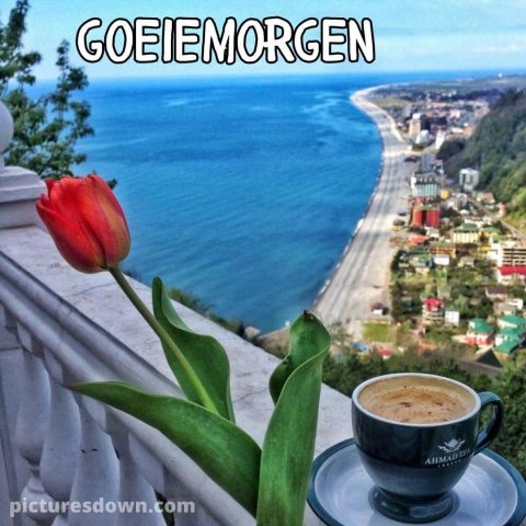 Koffie goedemorgen plaatje landschap gratis