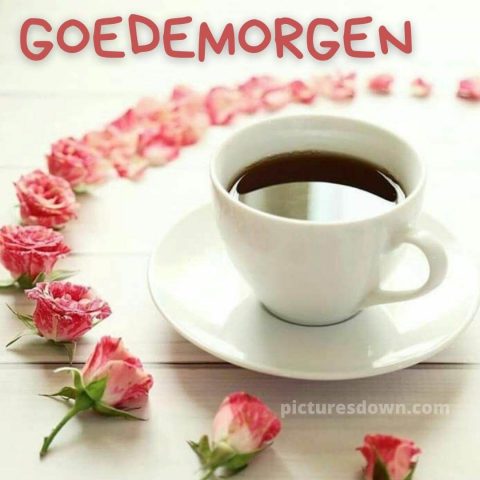 Koffie goedemorgen plaatje rozen gratis