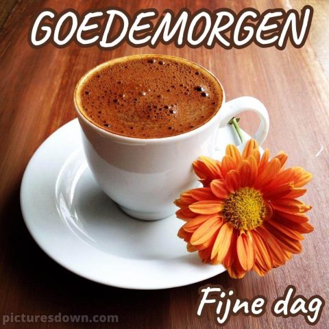 Koffie goedemorgen plaatje bloem gratis