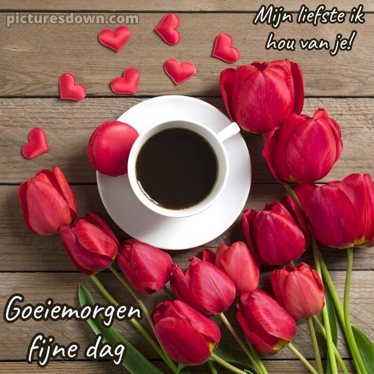 Goedemorgen schat afbeelding tulpen gratis