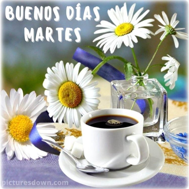 Buenos dias martes cafe imagen margaritas y jarrón descargar gratis