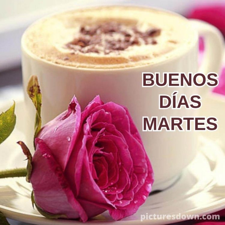 Buenos días feliz martes con café imagen rosa descargar gratis