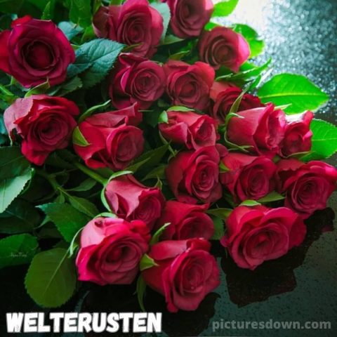 Welterusten bloemen afbeelding rozen gratis