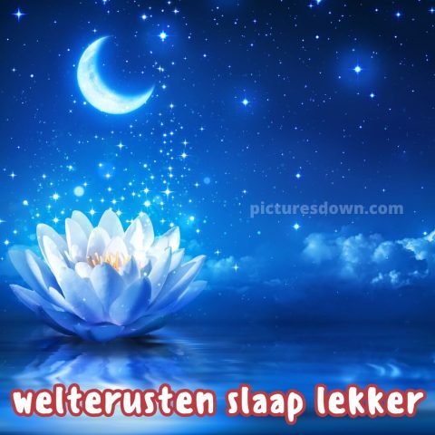 Welterusten bloemen afbeelding maan gratis