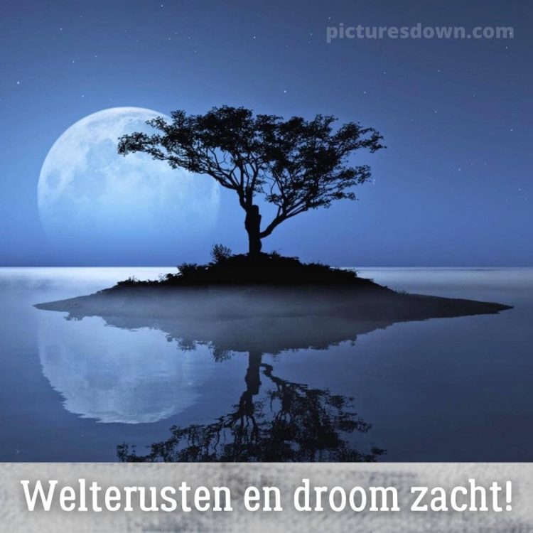 Welterusten maan afbeelding boom op het eiland gratis