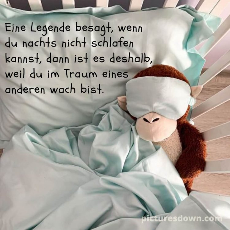 Gute nacht dienstag lustig bild schlafender Affe kostenlos