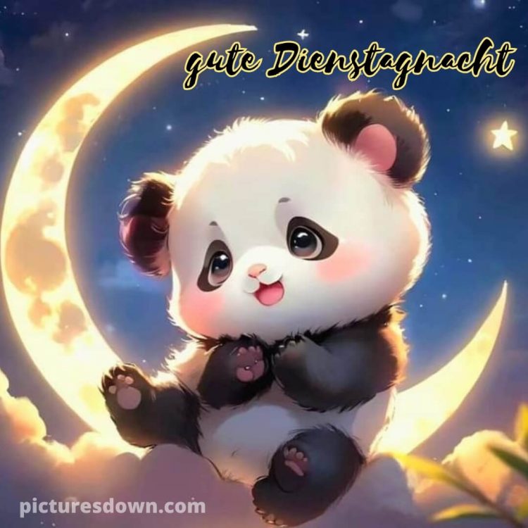 Schönen dienstag abend und später eine gute nacht bild Panda kostenlos