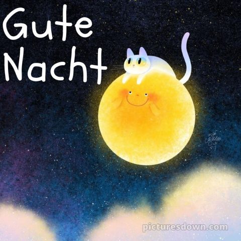 Gute nacht bilder mittwoch bild lustige Katze kostenlos