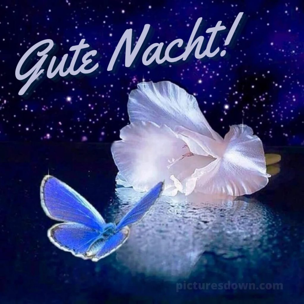 Gute Nacht Freitag Rosen Picturesdown