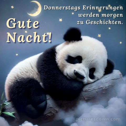 Schönen donnerstag abend und später eine gute nacht bild Panda kostenlos
