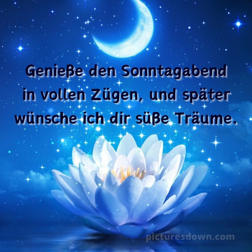 Sch nen Sonntag Abend Und Sp ter Eine Gute Nacht Blume Picturesdown Sch nen Sonntag Abend Und Sp ter Eine Gute Nacht Blume Picturesdown