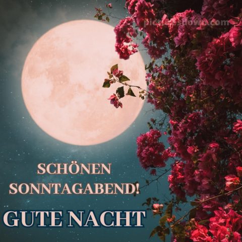 Schönen sonntag abend und später eine gute nacht bild Mond kostenlos