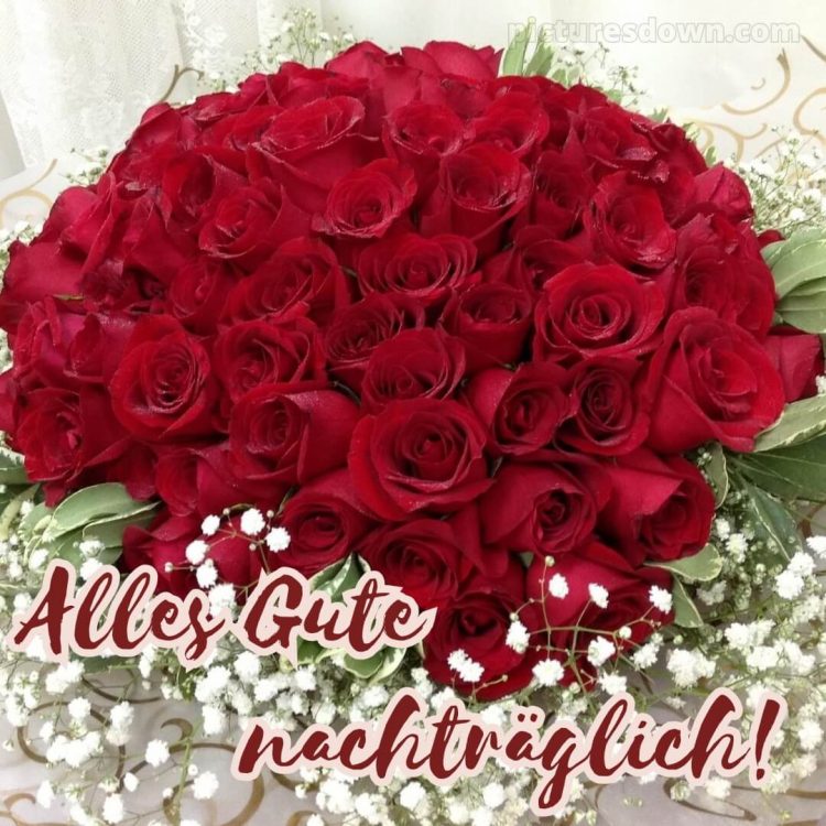 Herzlichen glückwunsch nachträglich zum geburtstag bild schöne rote Rosen kostenlos