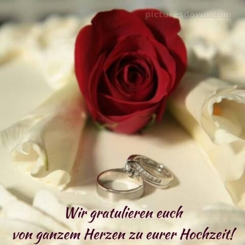 Herzlichen glückwunsch zur hochzeit bild rote Rose kostenlos