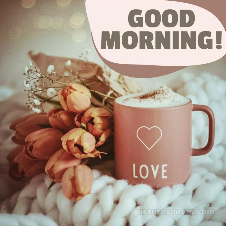 Good morning romantic picture cup and flowers free download