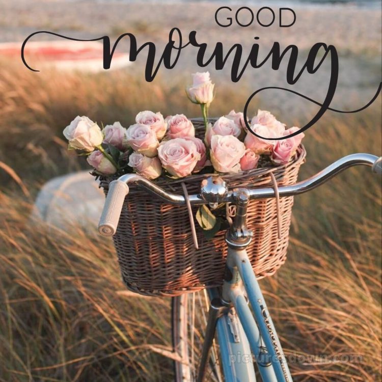 Good morning romantic images picture flower basket free download