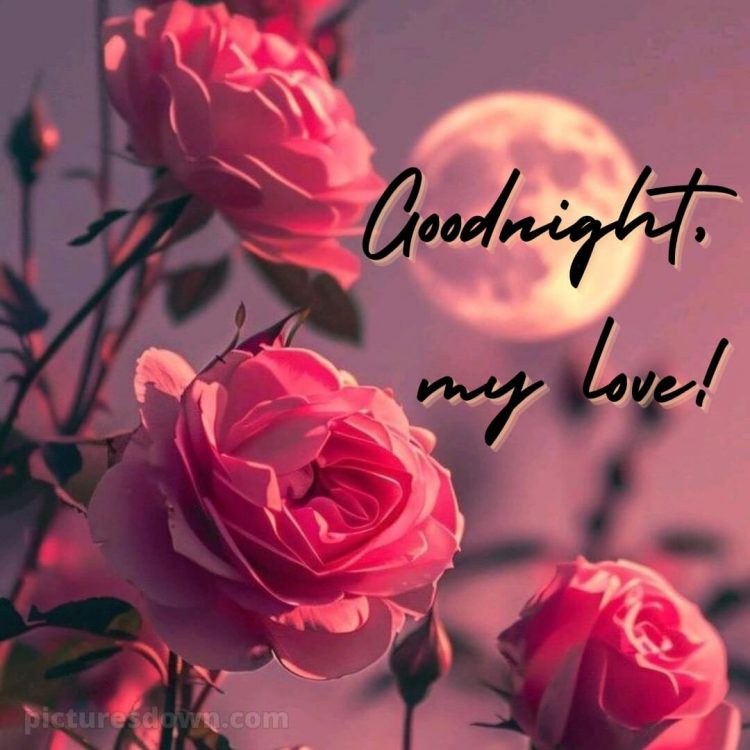 Good night i love you picture pink flowers free download