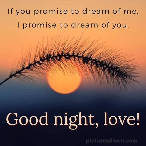 Good night i love you picture beautiful sunset free download