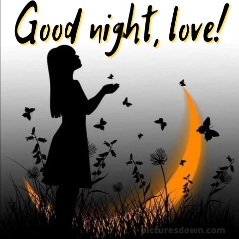 Good night i love you picture butterflies and moon free download