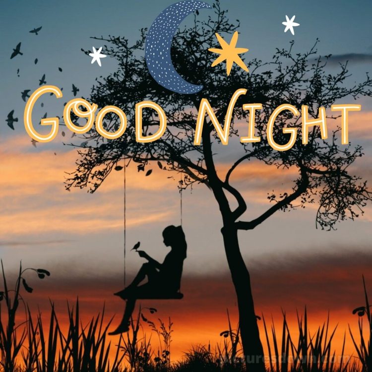 Good night i love you picture swing free download