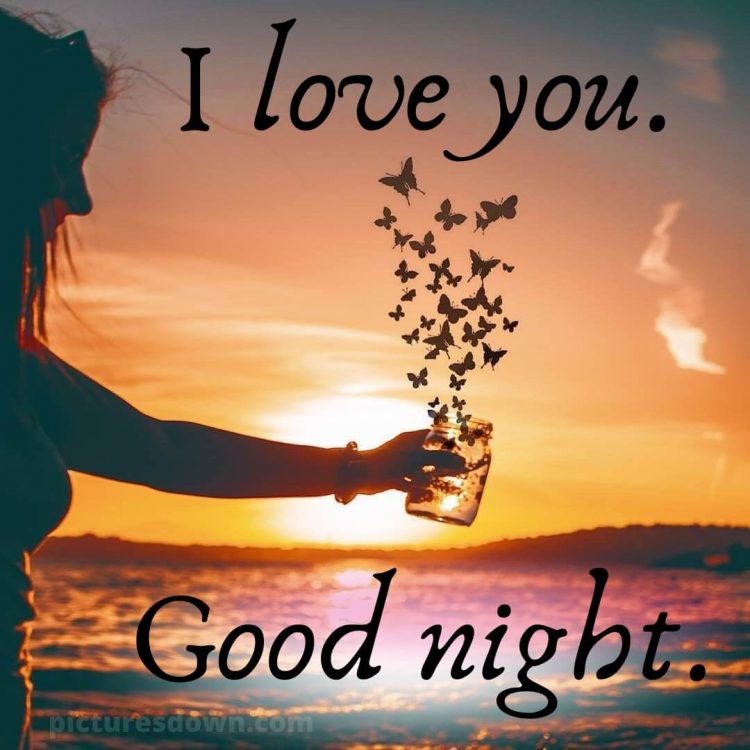 Good night i love you picture sunset free download