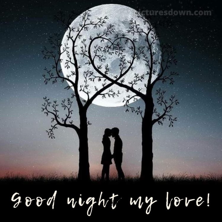 Good night image love picture moon free download