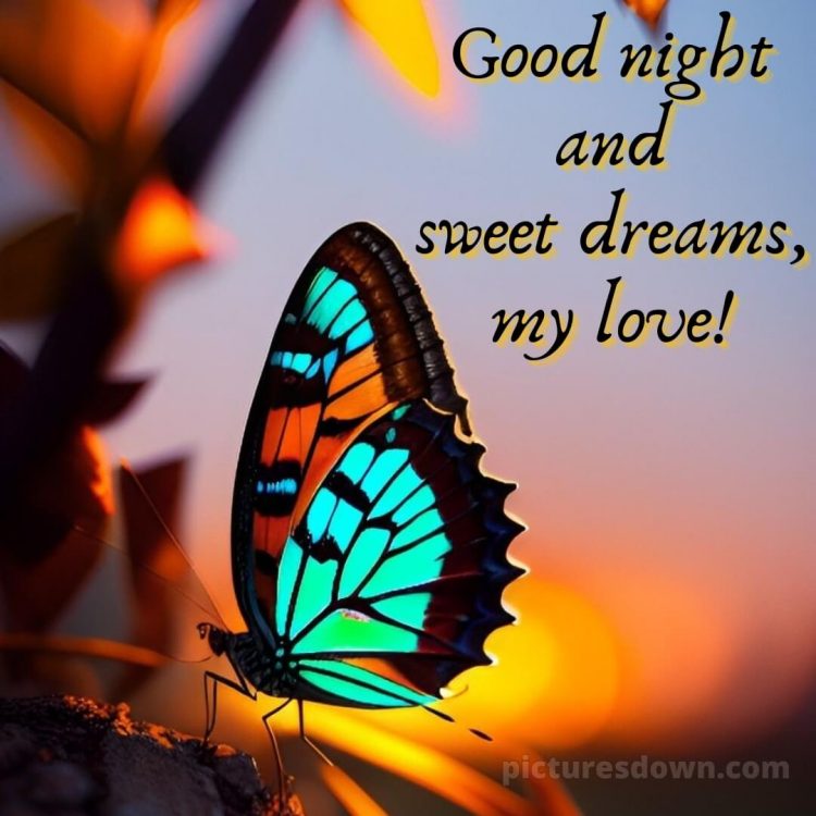 Good night image love picture butterfly free download