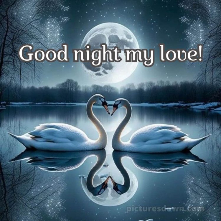Good night image love picture swans free download