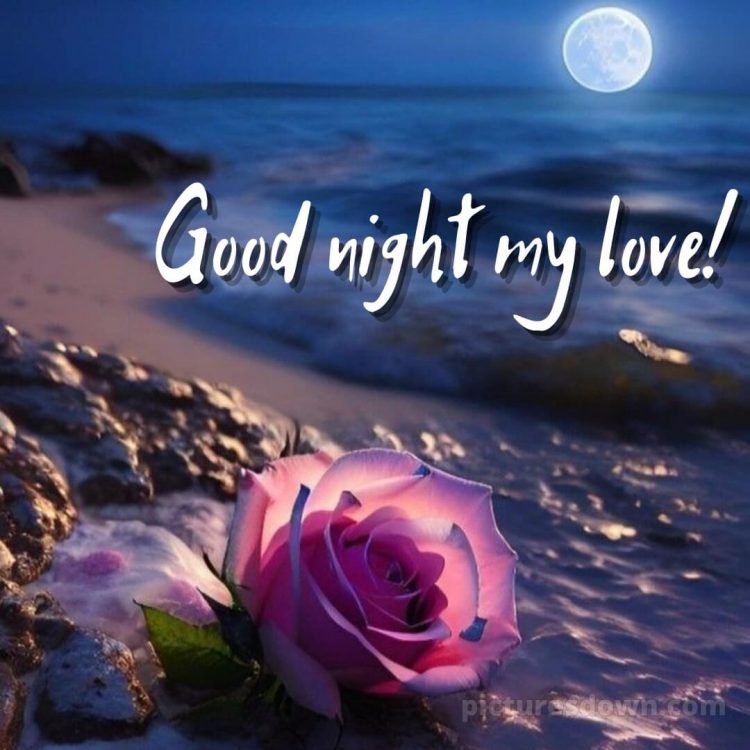 Good night image love picture rose free download