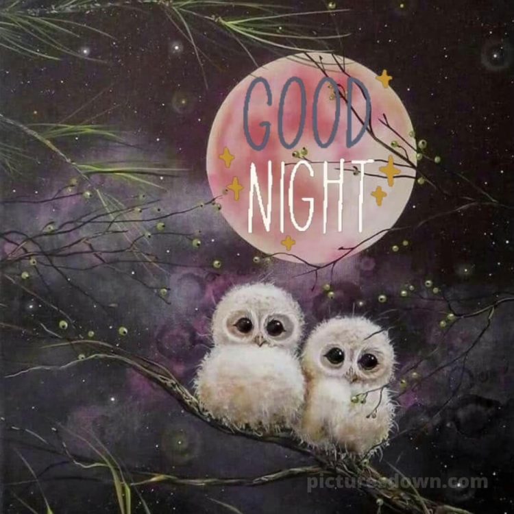Good night images love picture owls free download