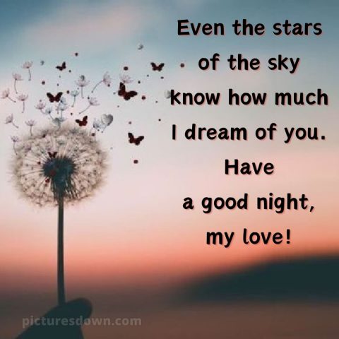 Good night images with love picture dandelion free download