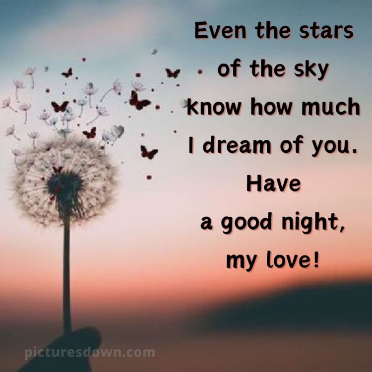 Good night images with love picture dandelion free download