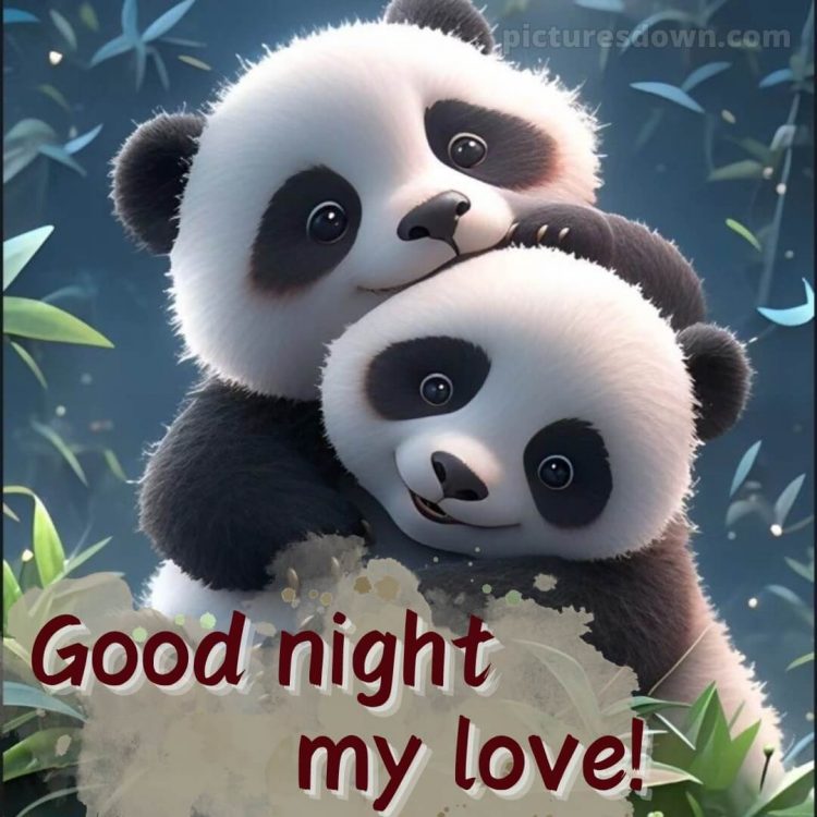 Good night images with love picture pandas free download
