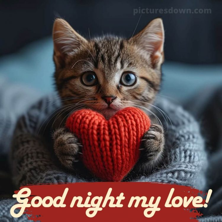 Good night images with love picture kitty free download