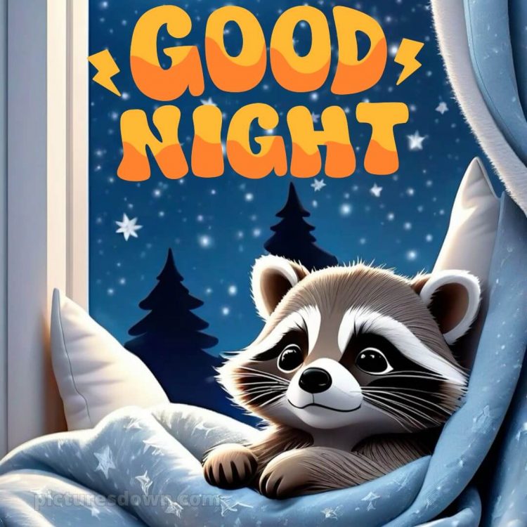Good night images with love picture raccoon free download