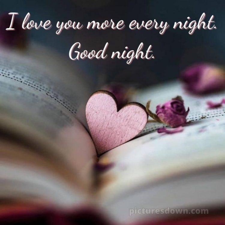 Good night love image picture book free download