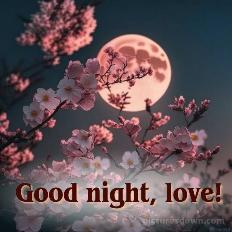 Good night love image picture blooming free download