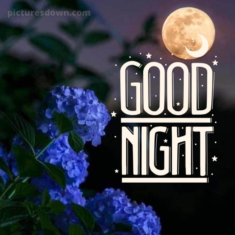 Good night love image picture hydrangeas free download