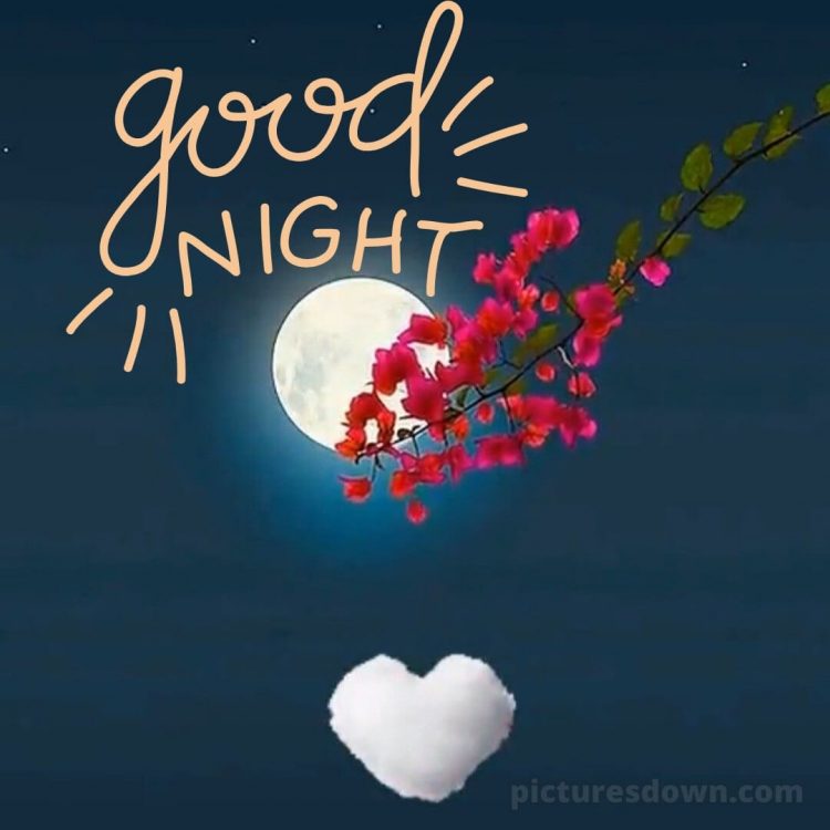 Good night love image picture moon and cloud free download